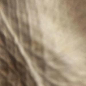 Meet your Posher, Veronique